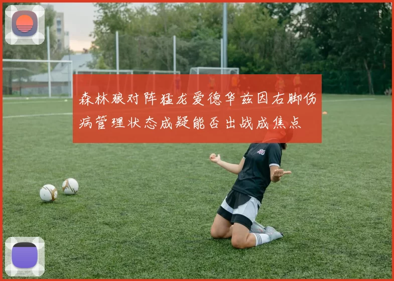 森林狼对阵猛龙爱德华兹因右脚伤病管理状态成疑能否出战成焦点